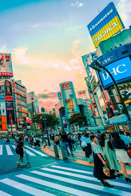 Tokyo: Private Tailored Tour with a Local Guide - Key points to know before booking