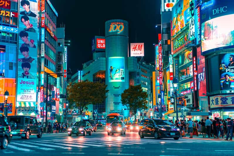 Tokyo: Private Tailored Tour with a Local Guide - Shibuya Crossing and the Hachiko statue