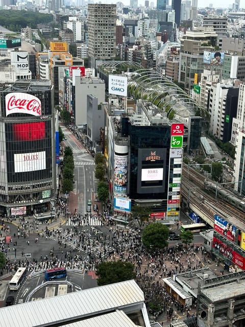 Tokyo: Private Tailored Tour with a Local Guide - What $63 really buys you