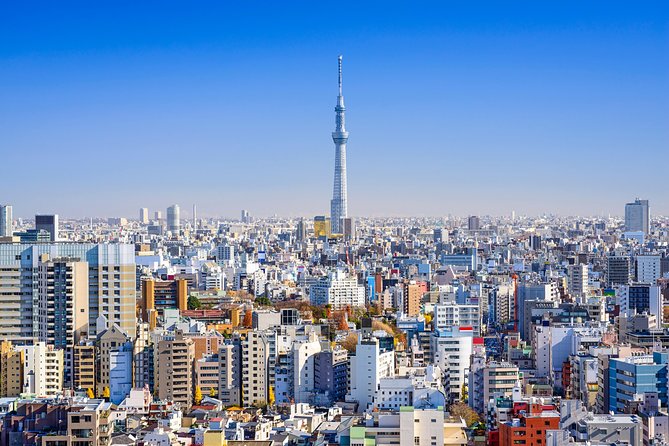 Tokyo Private Tour by Vehicle with English-Speaking Chauffeur - Tsukiji Outer Market: plan lunch with care
