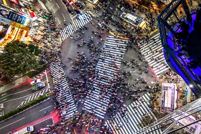 Tokyo Private Tour by Vehicle with English-Speaking Chauffeur - What your chauffeur adds to the day