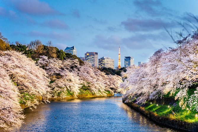 Tokyo Private Tour by Vehicle with English-Speaking Chauffeur - Tokyo Skytree for a different view