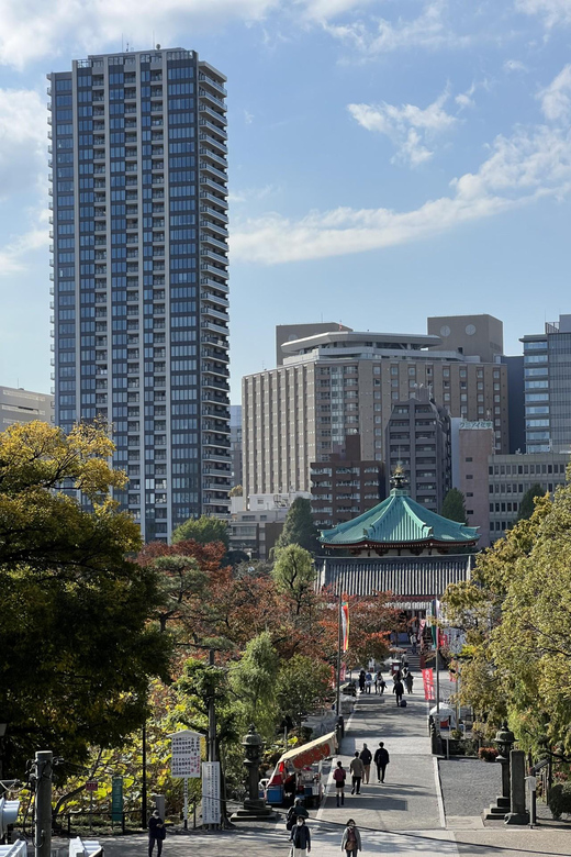 TOKYO Private visit guide Speaking French - What the $153 price really buys