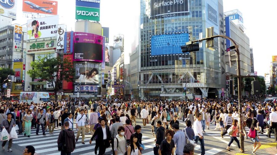 Tokyo: Private Walking Tour with a Local - What this Tokyo walking tour really offers