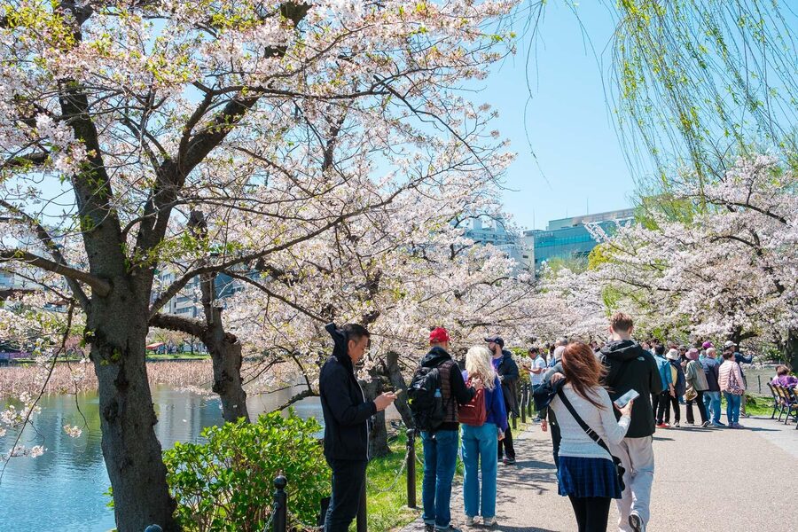 Tokyo: Private Walking Tour with a Local Guide - The Imperial Palace and central Tokyo
