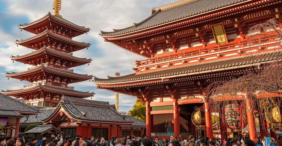 Tokyo: Private Walking Tour with a Local Guide - Why a private Tokyo tour can be worth the price