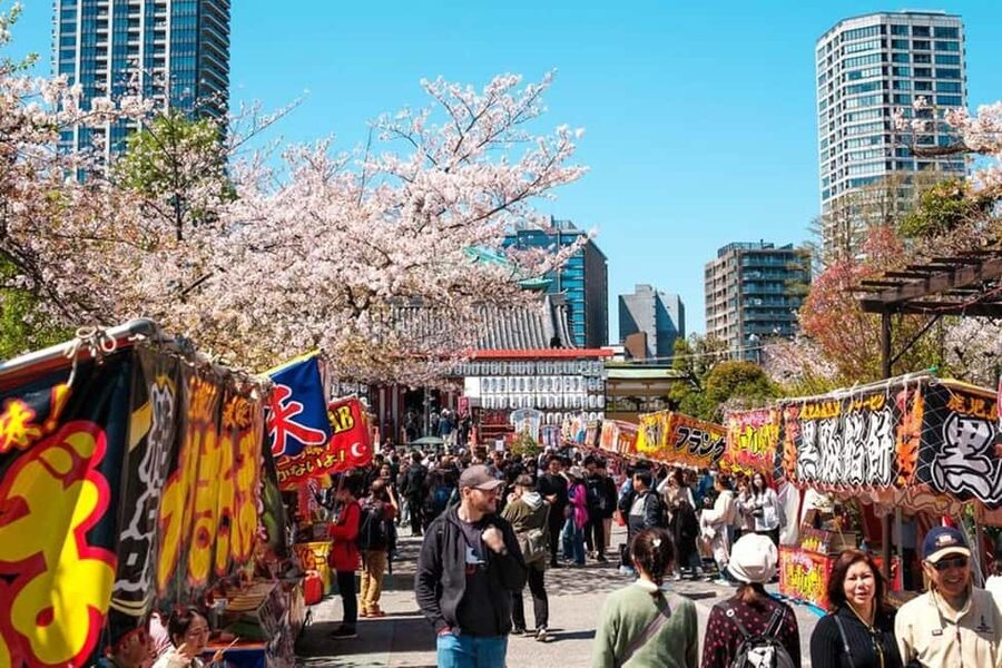 Tokyo: Private Walking Tour with a Local Guide - Tsukiji Outer Market and Ginza