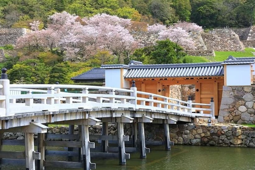 Tokyo: Pvt. Tour - Edo Castle & Imperial Palace East Gardens - Ninomaru Garden and the changing seasons