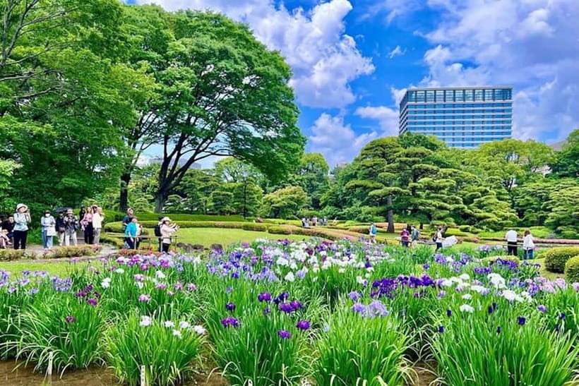Tokyo: Pvt. Tour - Edo Castle & Imperial Palace East Gardens - What you should bring and what to leave behind
