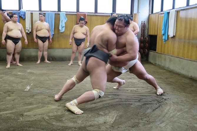Tokyo Ryogoku Sumo Morning Practice + Photo Shoot with Wrestlers - Why a sumo stable beats a standard match for cultural insight