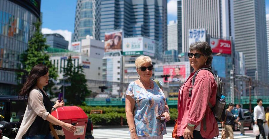 Tokyo's Upmarket District: Explore Ginza with a Local Guide - Starting at Ginza’s Lion Sculpture