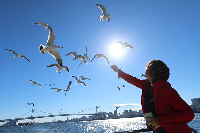Tokyo: Scenic Bay Cruise with Local Guide on Private Boat - Why a small boat changes Tokyo Bay