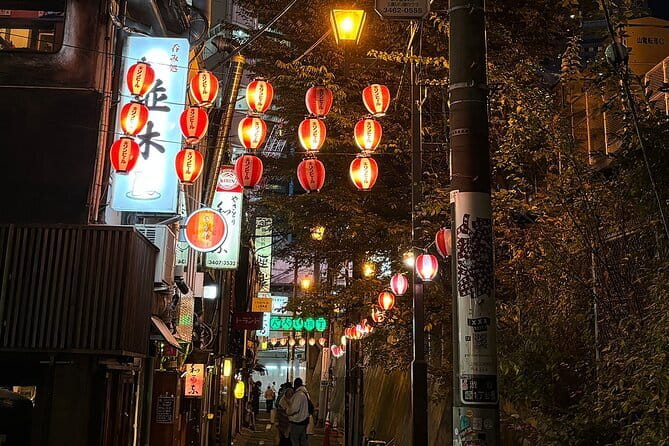 Tokyo: Shibuya Highlights Walking Tour & Secret View Spot - Who will get the most from this walk