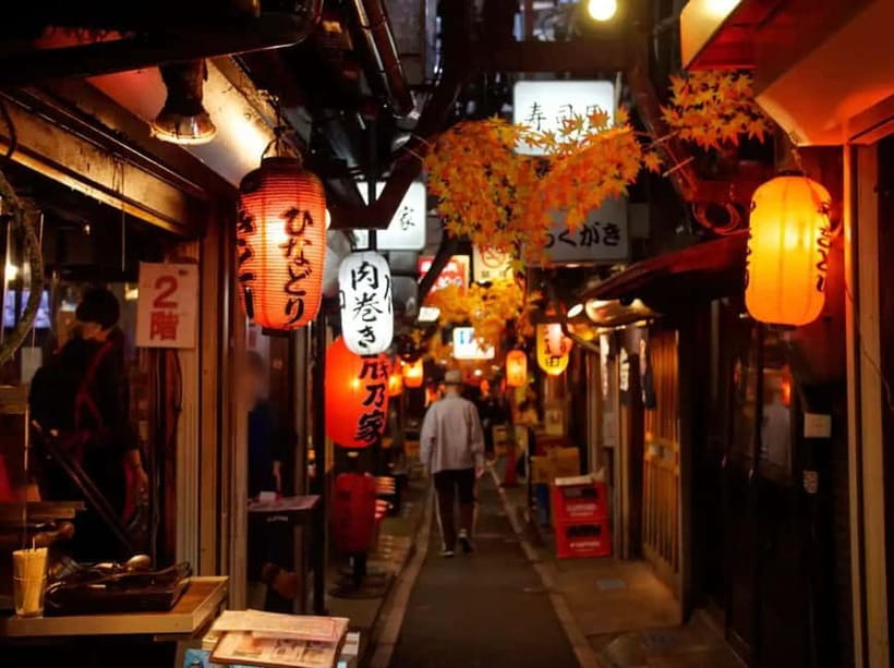 Tokyo: Shinjuku Bar and Izakaya Hopping Tour - Karaoke at the end, with a private-room finish