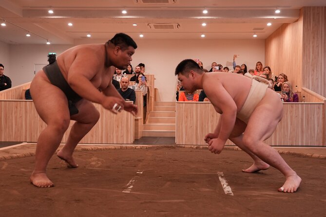 Tokyo Shinjuku Sumo Show & Experience with Photo - Photos, questions, and meeting the wrestlers