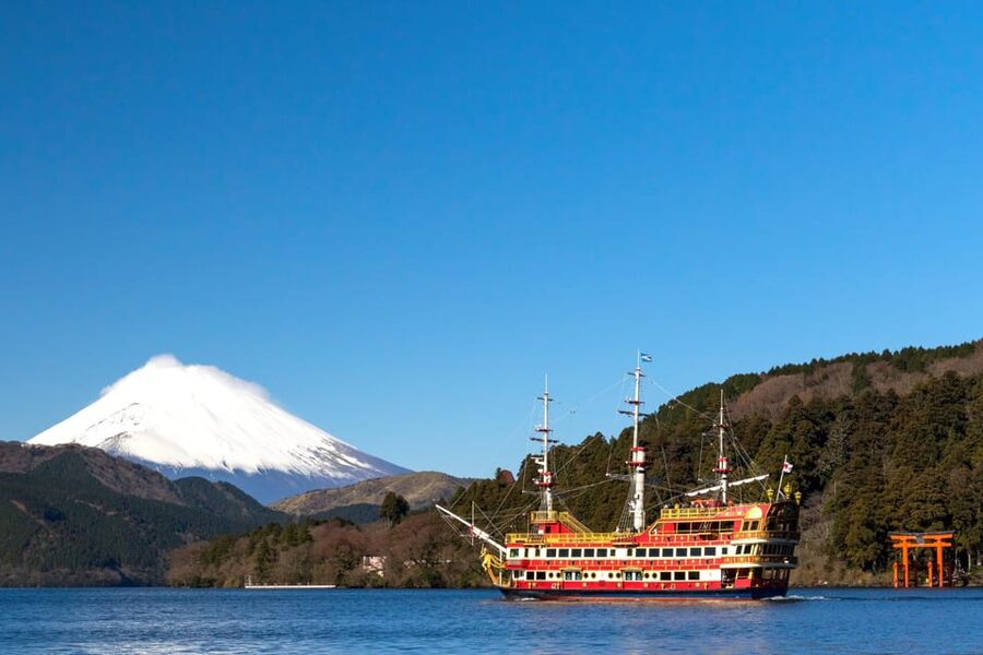 Tokyo: Spring Hitachi Seaside & Ashikaga Flower Park Tour - Who will enjoy this day most