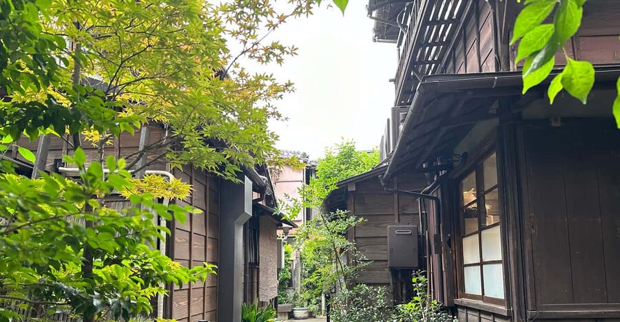 Tokyo:Stroll in Old traditional culture towns~Yanaka & Nezu - Why Yanaka feels different from central Tokyo