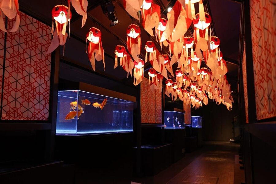 Tokyo: Sumida Aquarium Entry Ticket - Penguins, eels, and goldfish with a human touch