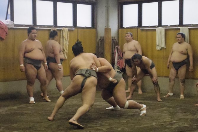 Tokyo Sumo Morning Practice Tour at Stable - Why a practice session can beat a tournament