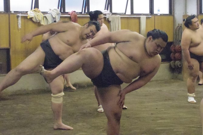 Tokyo Sumo Morning Practice Tour at Stable - What the wrestlers actually do