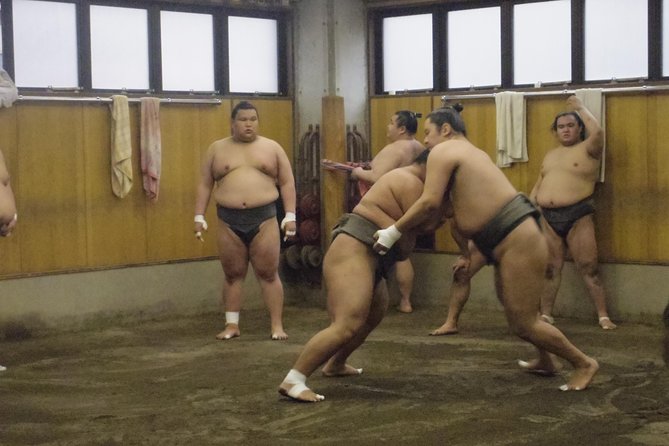 Tokyo Sumo Morning Practice Tour at Stable - The guide’s role and the headset issue