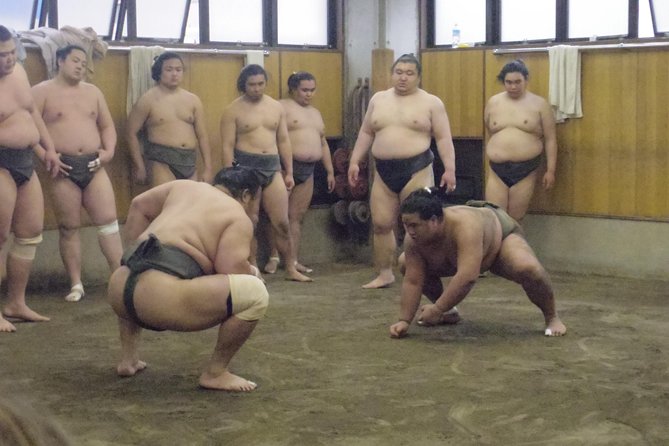 Tokyo Sumo Morning Practice Tour at Stable - Photos at the end