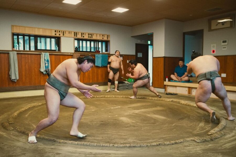 Tokyo: Sumo Morning Practice Tour at Sumida City - Final verdict: a close look at sumo’s real work