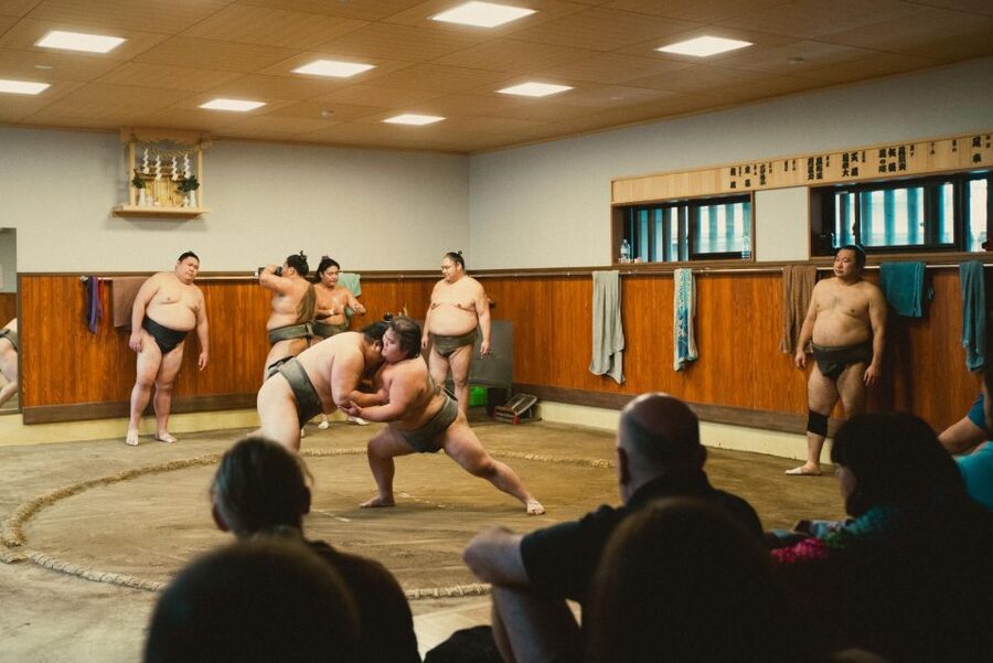 Tokyo: Sumo Morning Practice Tour at Sumida City - Questions with the stable master