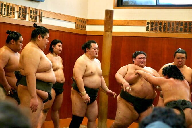 Tokyo Sumo Morning Practice: Viewing & Exclusive Interaction - Starting at Narihira Park Before the City Wakes