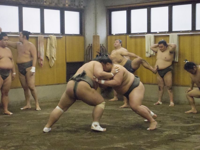 Tokyo: Sumo Morning Practice Viewing Tour - Why a morning stable visit feels so different
