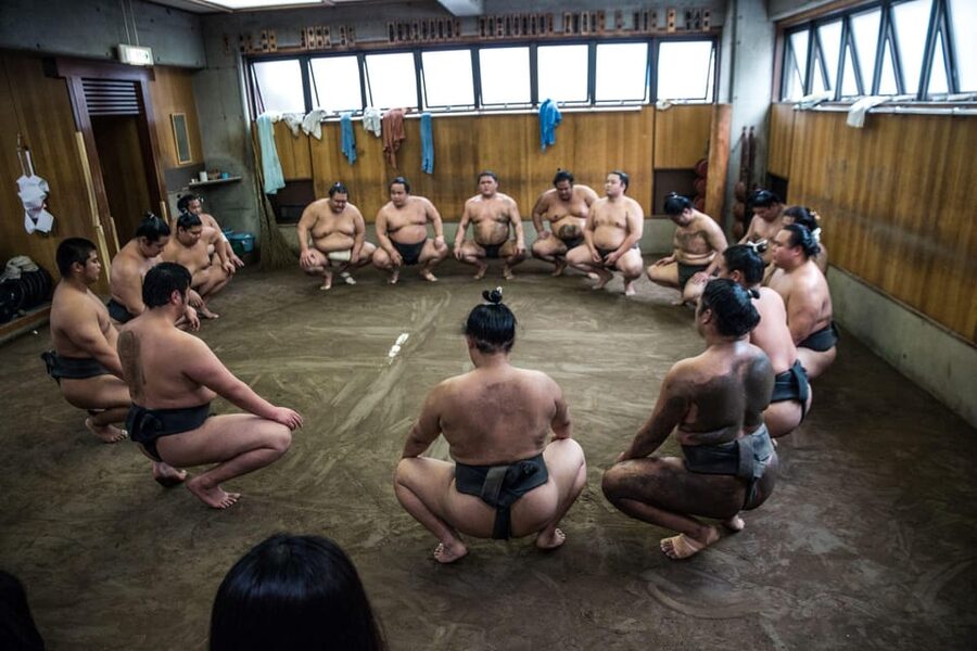 Tokyo: Sumo Morning Practice Viewing Tour - Sixty to 90 minutes beside the wrestlers