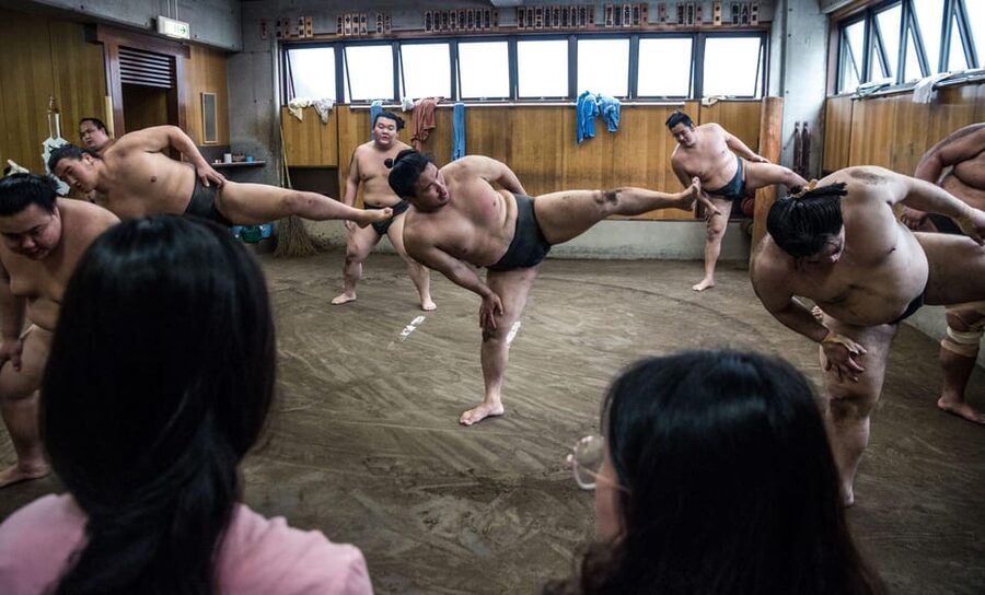 Tokyo: Sumo Morning Practice Viewing Tour - Photos, questions, and the end of the visit