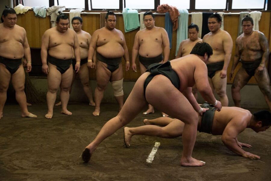 Tokyo: Sumo Morning Practice Viewing Tour - Who will appreciate this experience most