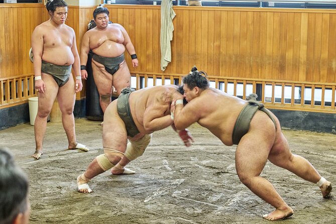 Tokyo: Sumo Morning Practice Viewing Tour at a Real Stable - Why this Tokyo sumo morning feels different