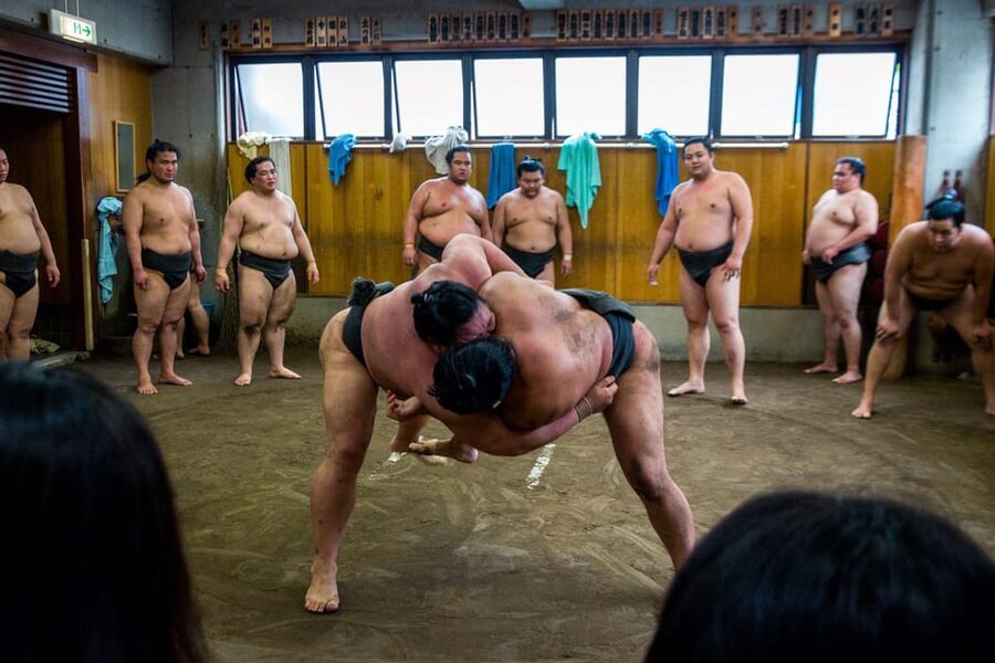 Tokyo: Sumo Morning Practice Viewing Tour - Meeting in Ryogoku, Tokyo’s sumo neighborhood
