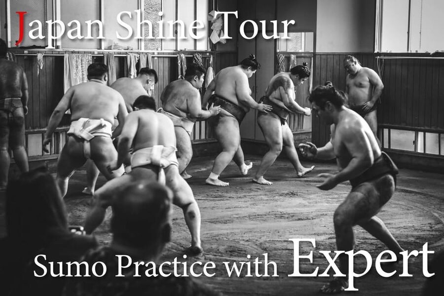 Tokyo: Sumo Morning Practice with journalists. Not fake show - Two hours inside a working sumo stable