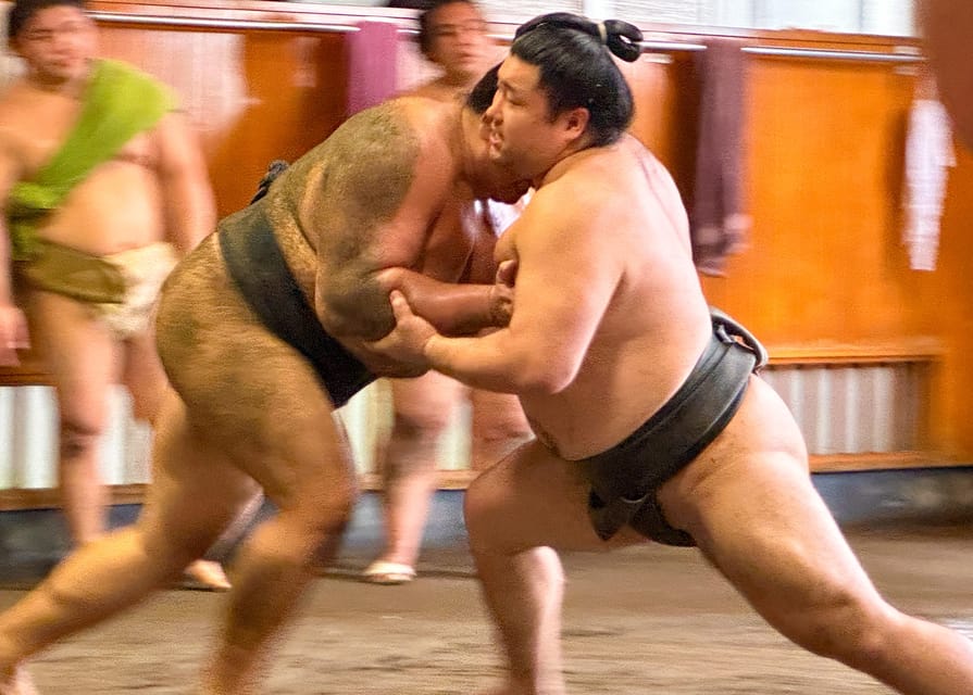 Tokyo: Sumo Morning Practice with journalists. Not fake show - Meeting in Ryogoku and entering Takasago-beya