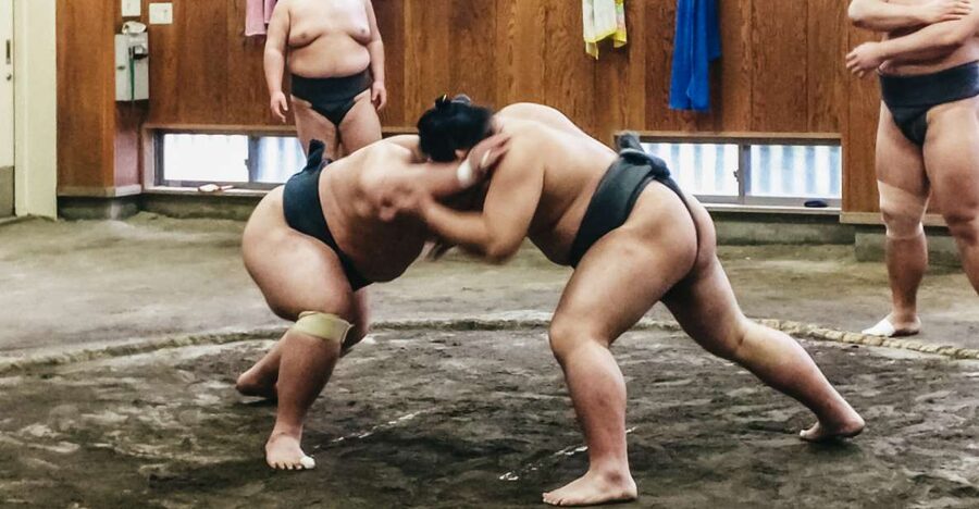 Tokyo: Sumo Morning Training Visit - Key points to know before booking