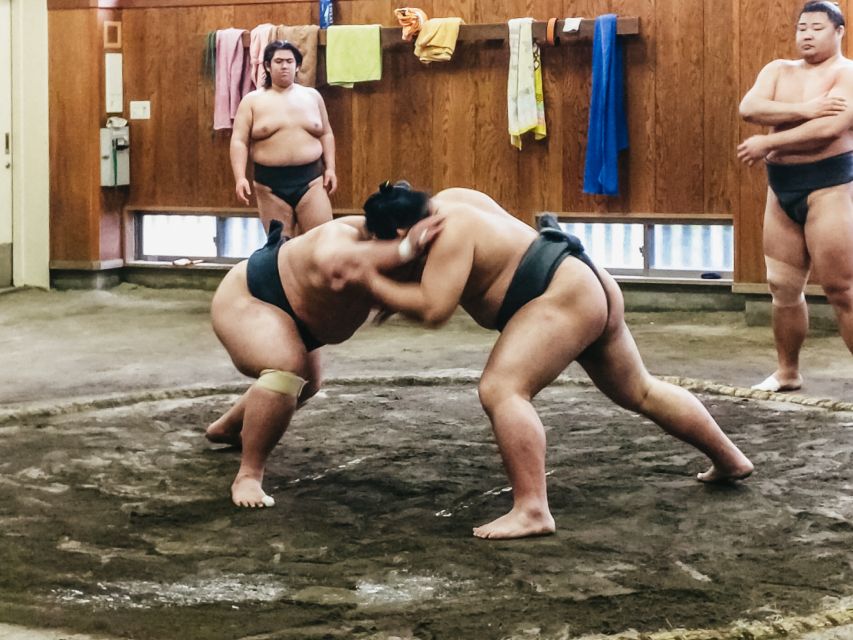 Tokyo: Sumo Morning Training Visit - Why watching sumo practice feels different