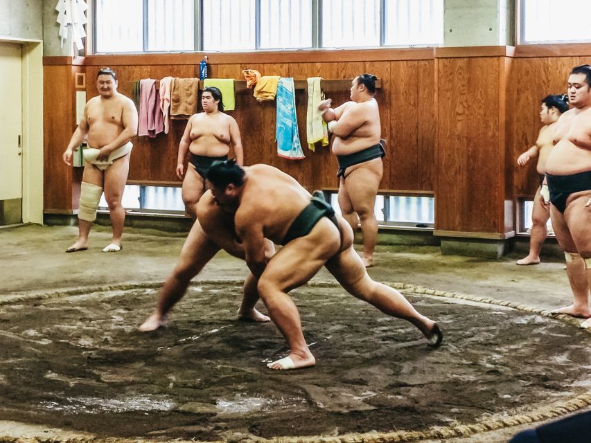 Tokyo: Sumo Morning Training Visit - Optional hotel transfer from Tokyo’s 23 wards