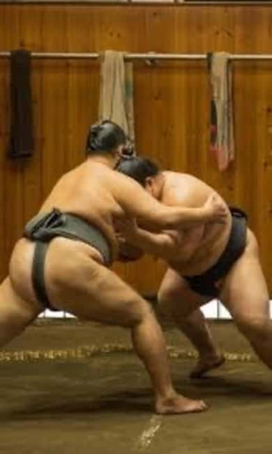 Tokyo: Sumo Show and Experience in Shinjuku - What the Shinjuku sumo show is really like