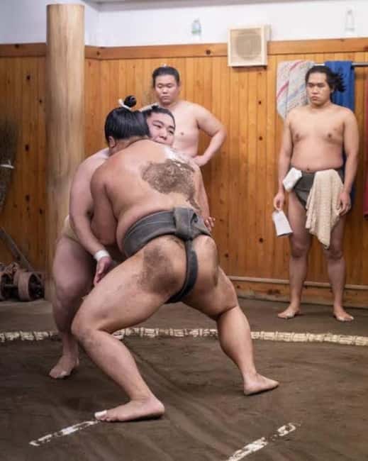 Tokyo: Sumo Show and Experience in Shinjuku - The opening explanation: why sumo is more than size