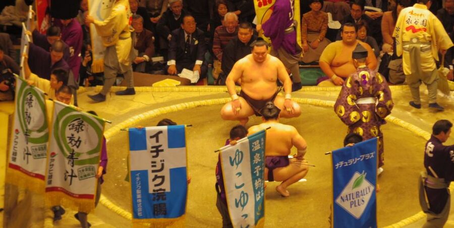 Tokyo: Sumo Tournament Tour with Chair Seat Tickets - What your seat is really like