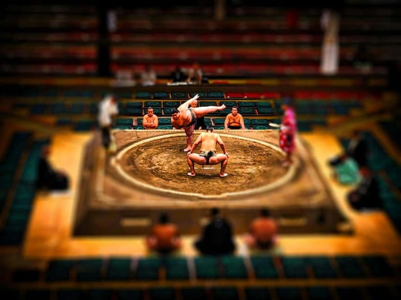 Tokyo: Sumo Tournament with Guide & Assigned Reserved Seat - What you will learn from the guide