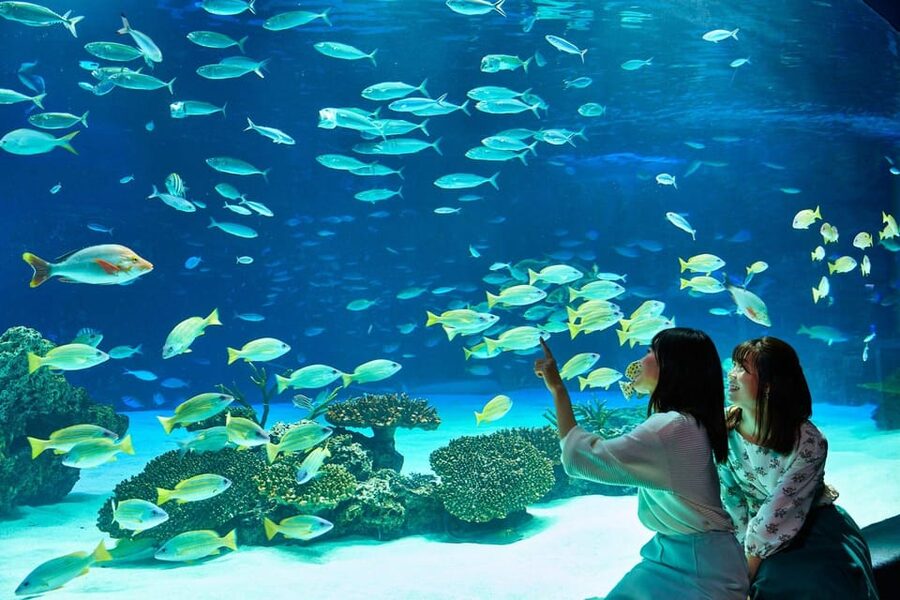 Tokyo: Sunshine Aquarium Entry Ticket - Key points at a glance