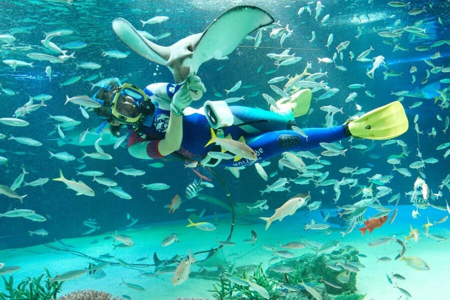 Tokyo: Sunshine Aquarium Entry Ticket - Sunshine Aquarium turns a Tokyo rooftop into a retreat