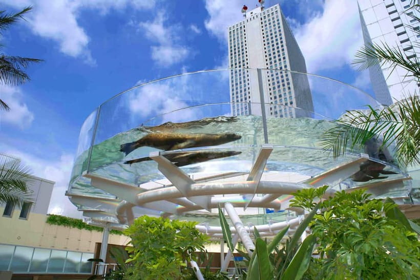 Tokyo: Sunshine Aquarium Entry Ticket - Water and greenery shape the rest of the visit