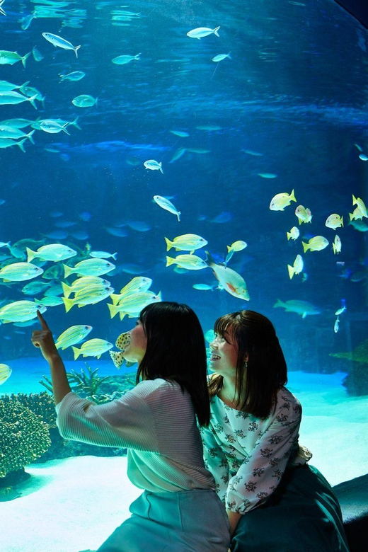 Tokyo: Sunshine Aquarium Entry Ticket - Booking and entering the aquarium