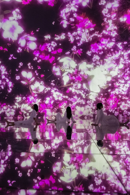 Tokyo: teamLab Planets TOKYO Digital Art Museum Entry Ticket - Should you book teamLab Planets TOKYO?