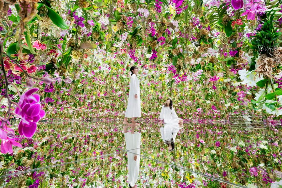 Tokyo: teamLab Planets TOKYO Digital Art Museum Entry Ticket - Flowers, orchids, and the changing garden